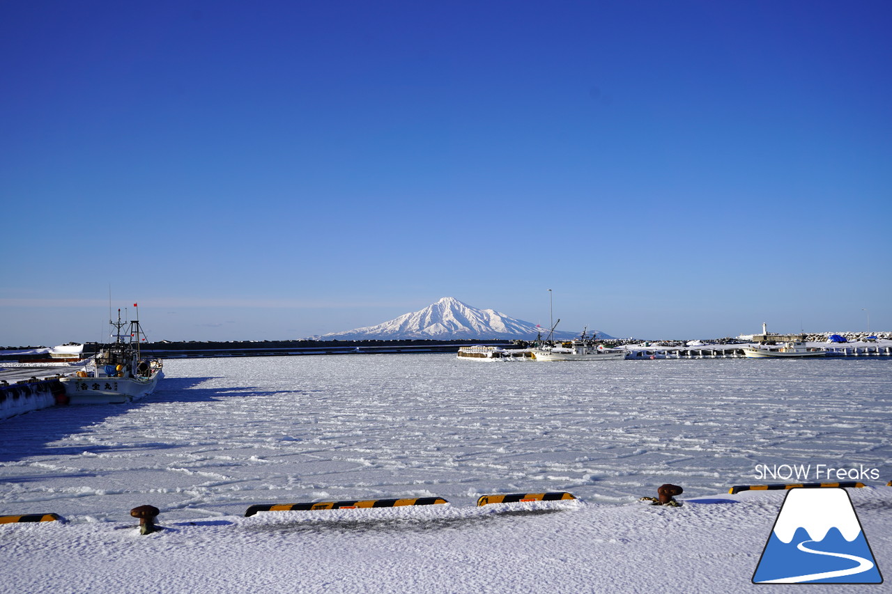 北海道ローカルスキー場巡り 2019～豊富町営豊富温泉スキー場・幌延町東ヶ丘スキー場・羽幌町民スキー場『びゅー』～